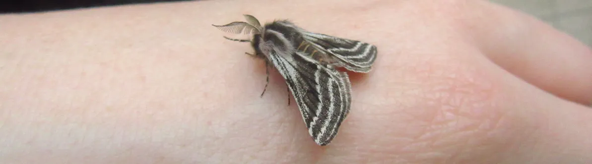 Screenshot 2026-03-01 11