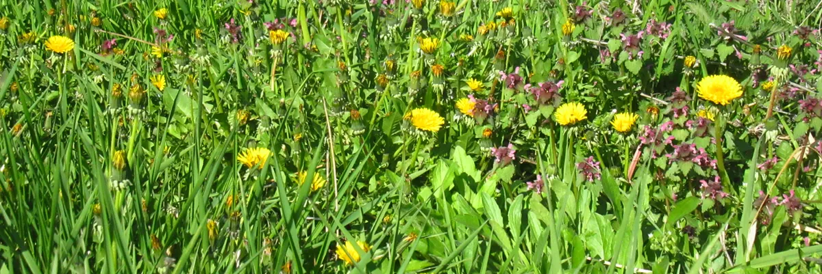 Screenshot 2026-04-06 4