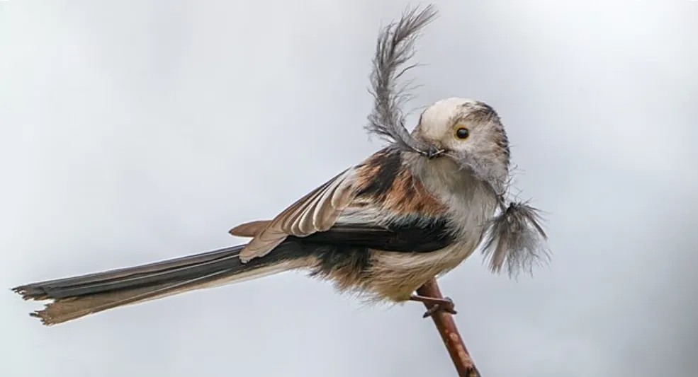 Screenshot 2026-03-02 12