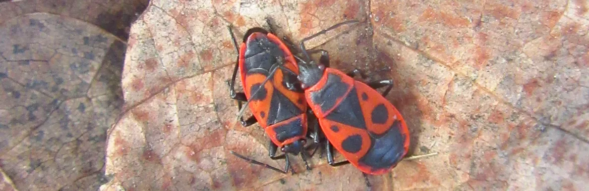 Screenshot 2026-02-07 18