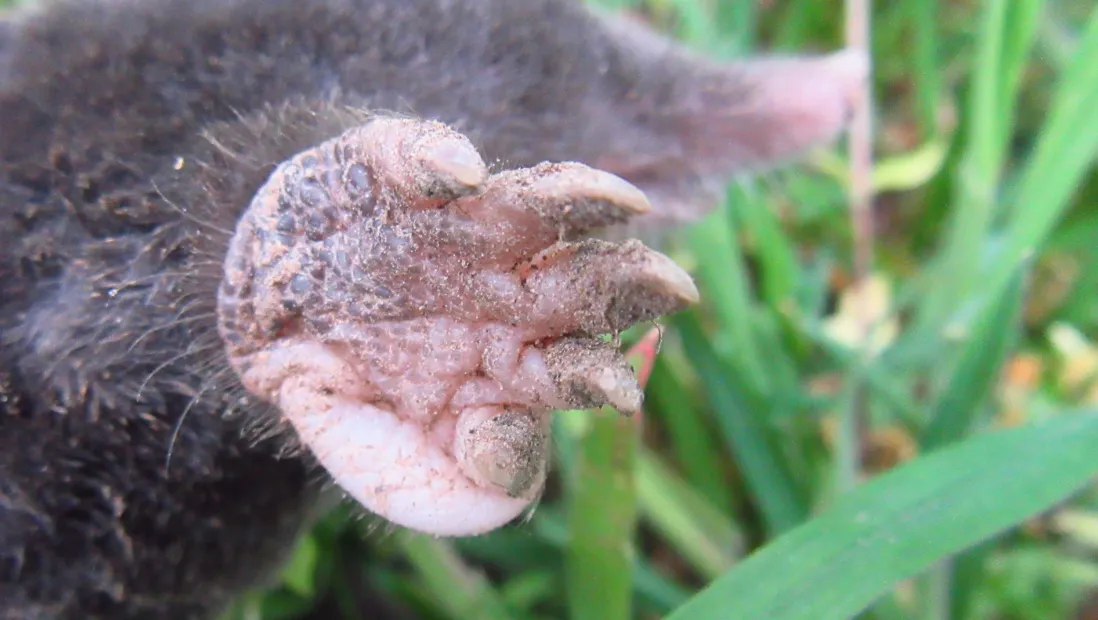 Screenshot 2026-04-19 8