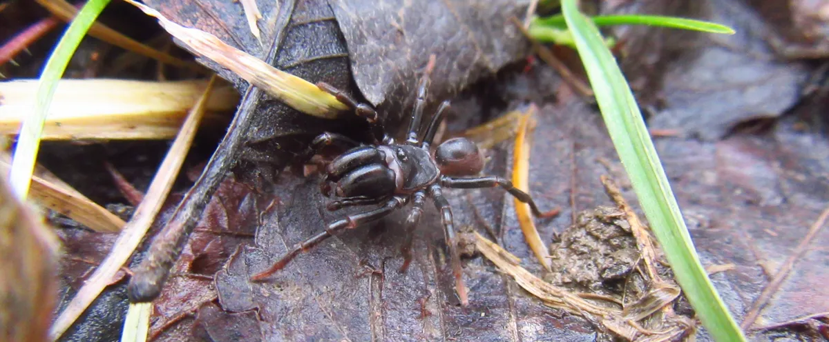 Screenshot 2026-02-12 20