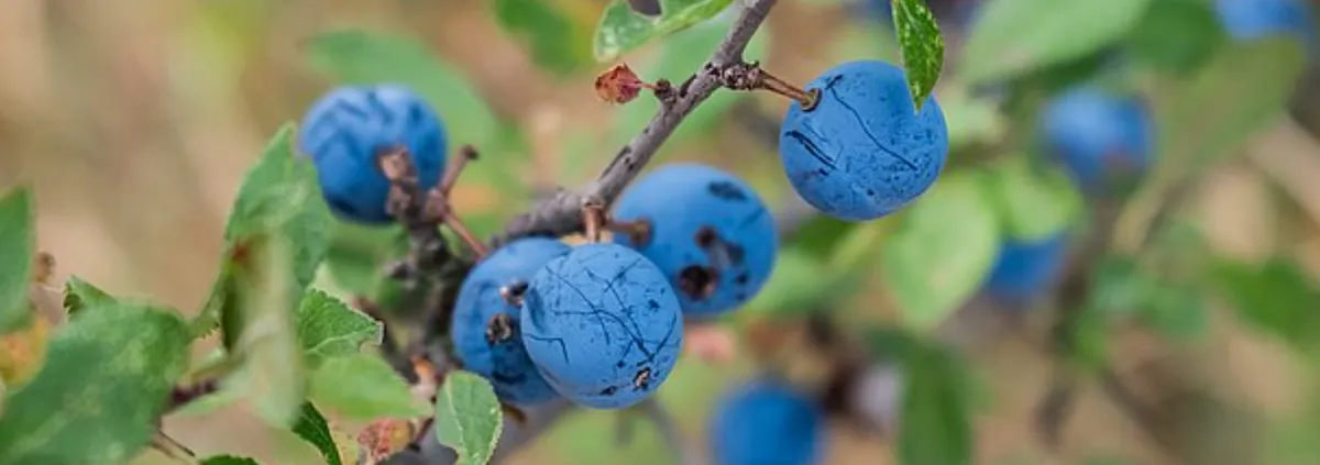 Screenshot 2026-04-11 11