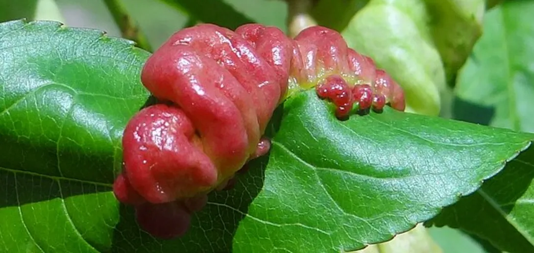 Screenshot 2026-04-13 3