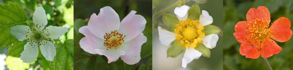 Screenshot 2026-04-07 1