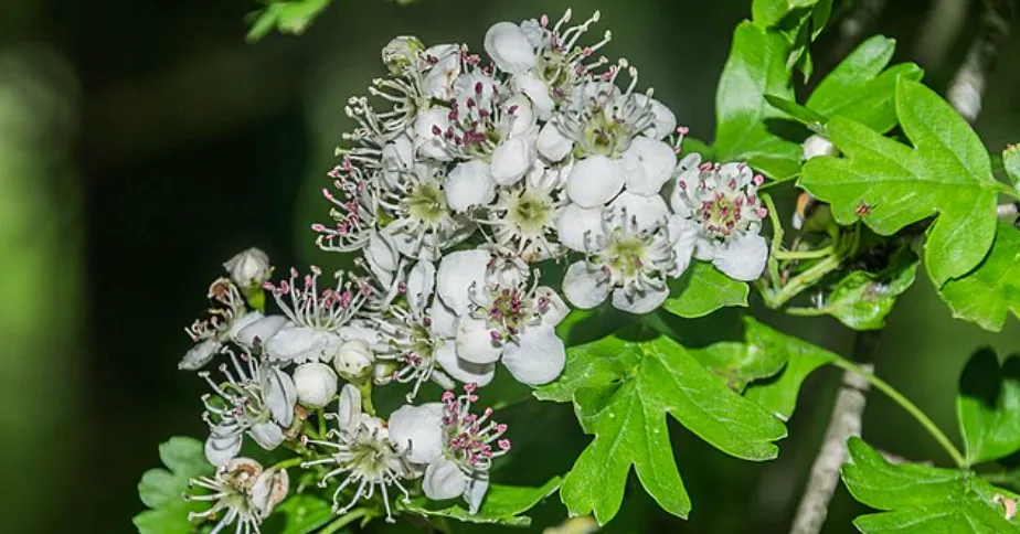 Screenshot 2026-04-11 3