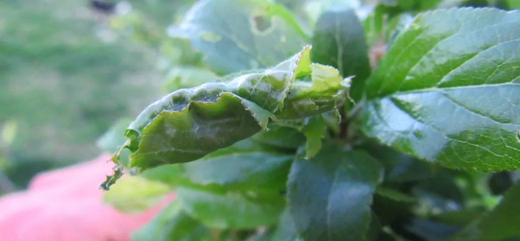 Screenshot 2026-04-08 8