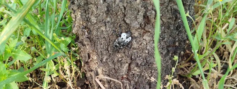 Screenshot 2026-04-18 8