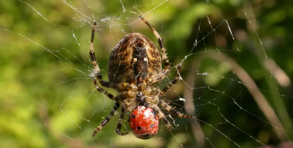 Screenshot 2026-02-13 14