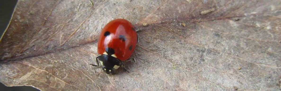 Screenshot 2026-02-07 18