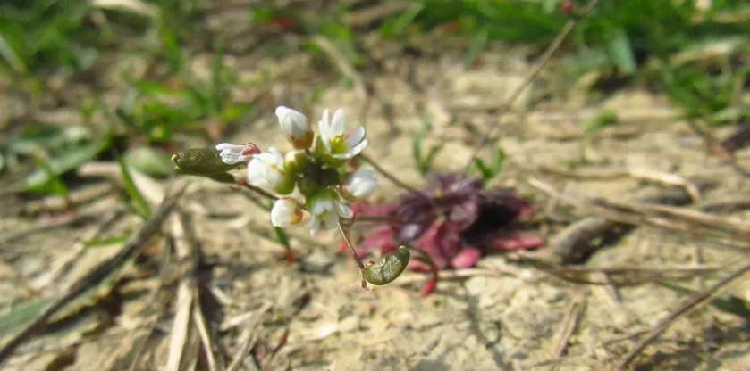 Screenshot 2026-04-04 4