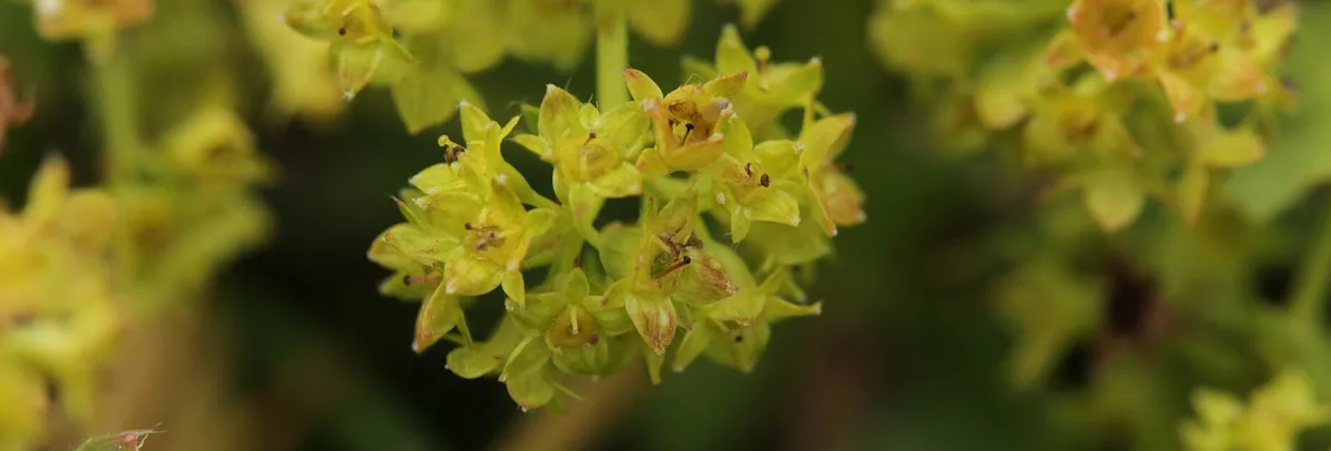 Screenshot 2026-04-11 3