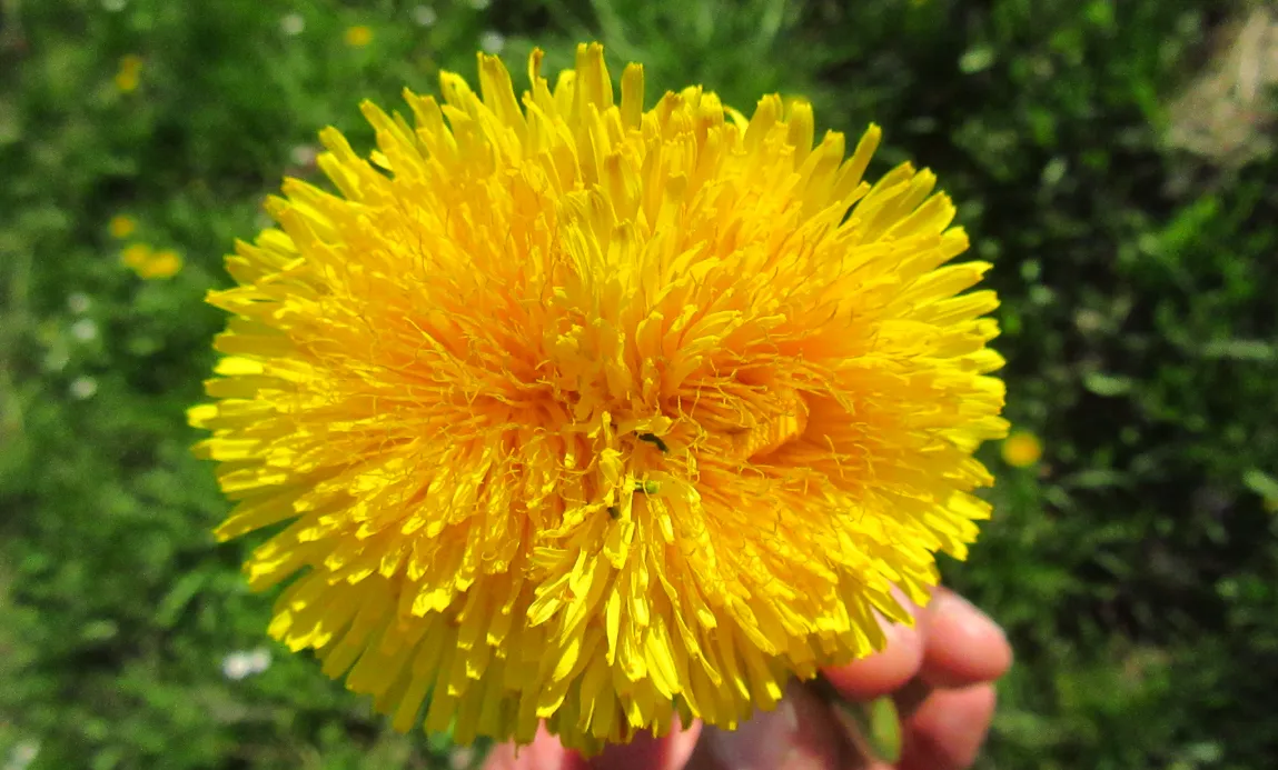 Screenshot 2026-04-06 4