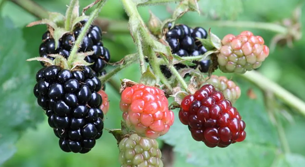 Screenshot 2026-04-07 6