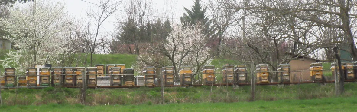 Screenshot 2026-03-17 5