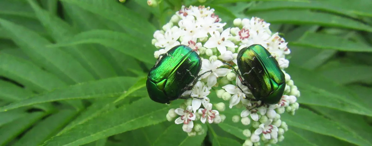 Screenshot 2026-02-16 11