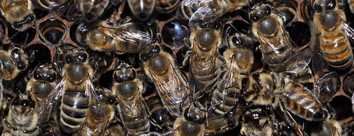 Screenshot 2026-03-22 1