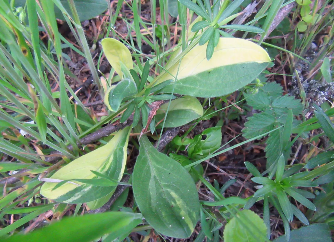 Screenshot 2026-04-14 3