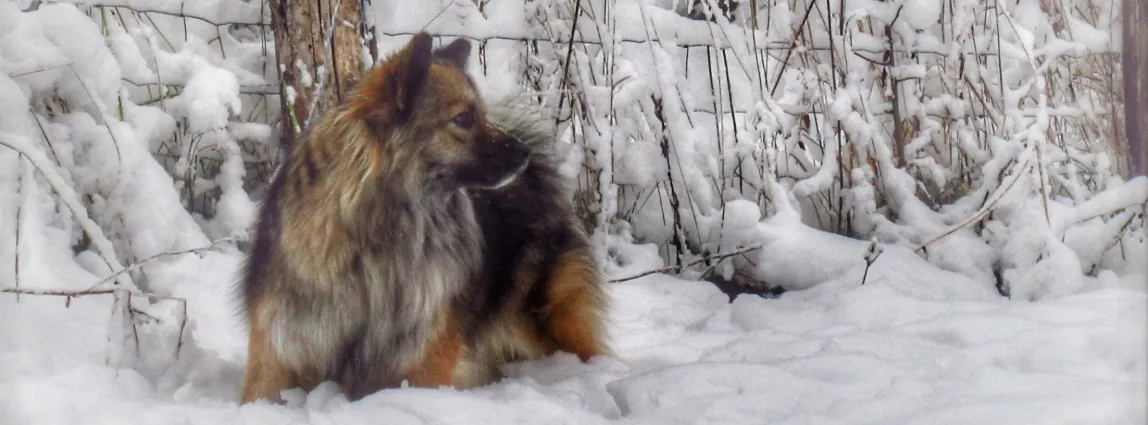 Screenshot 2026-01-29 14