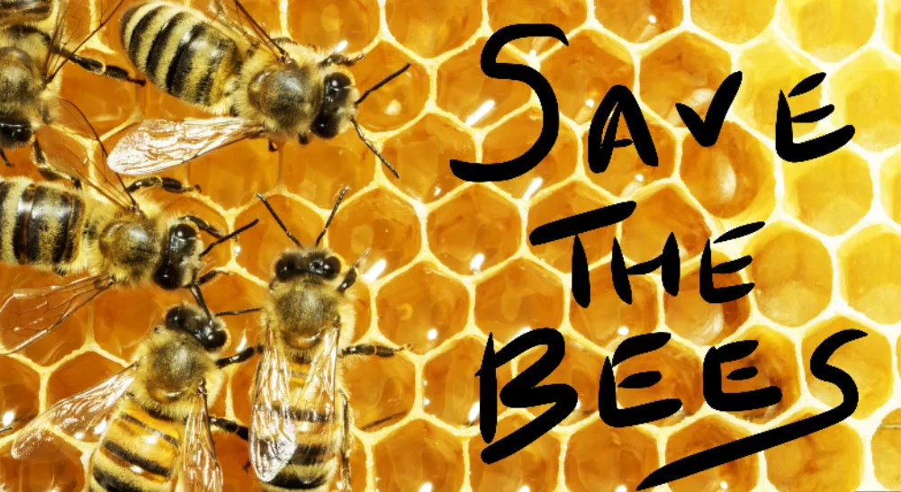 Screenshot 2026-03-22 12