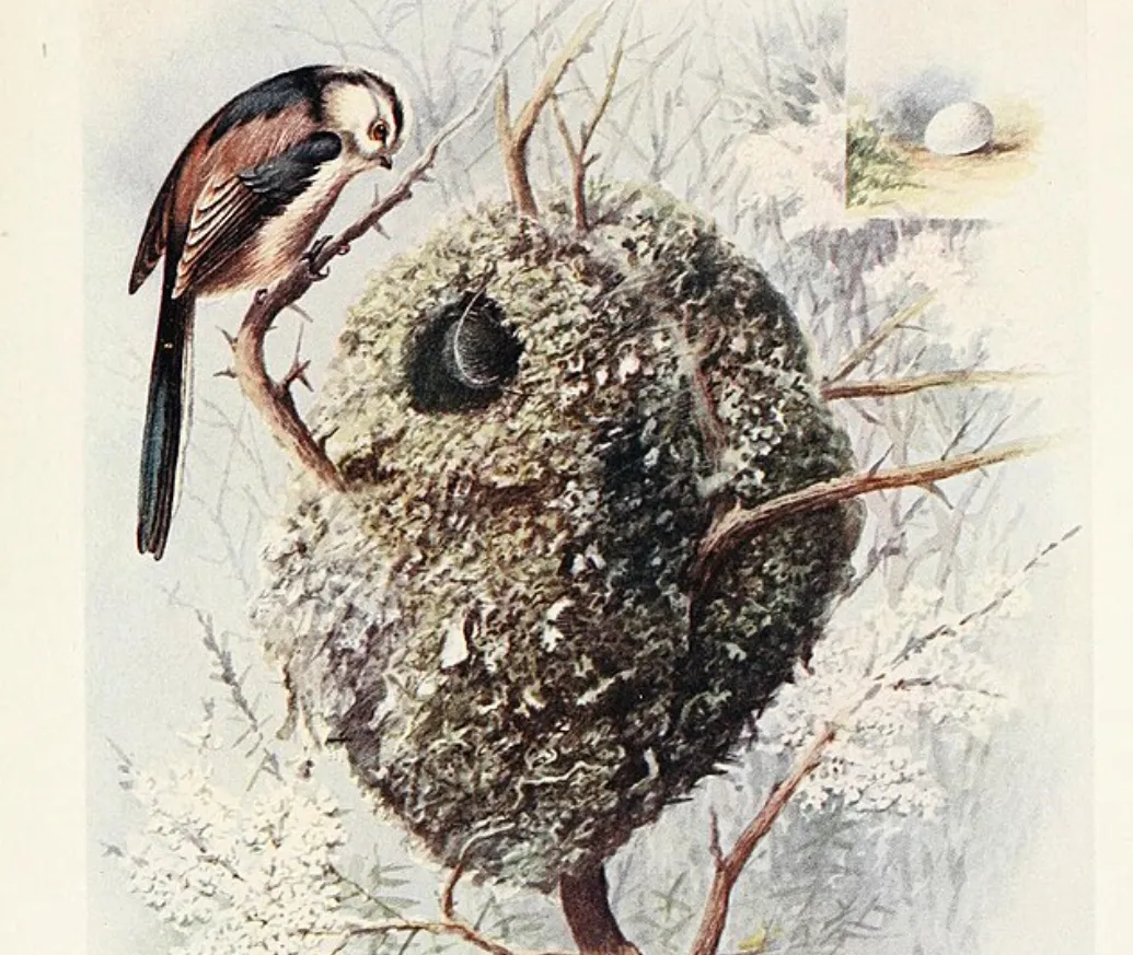 Screenshot 2026-03-02 12