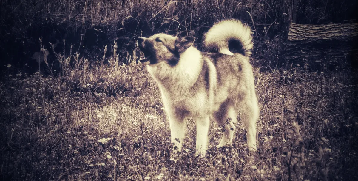 Screenshot 2026-02-14 13