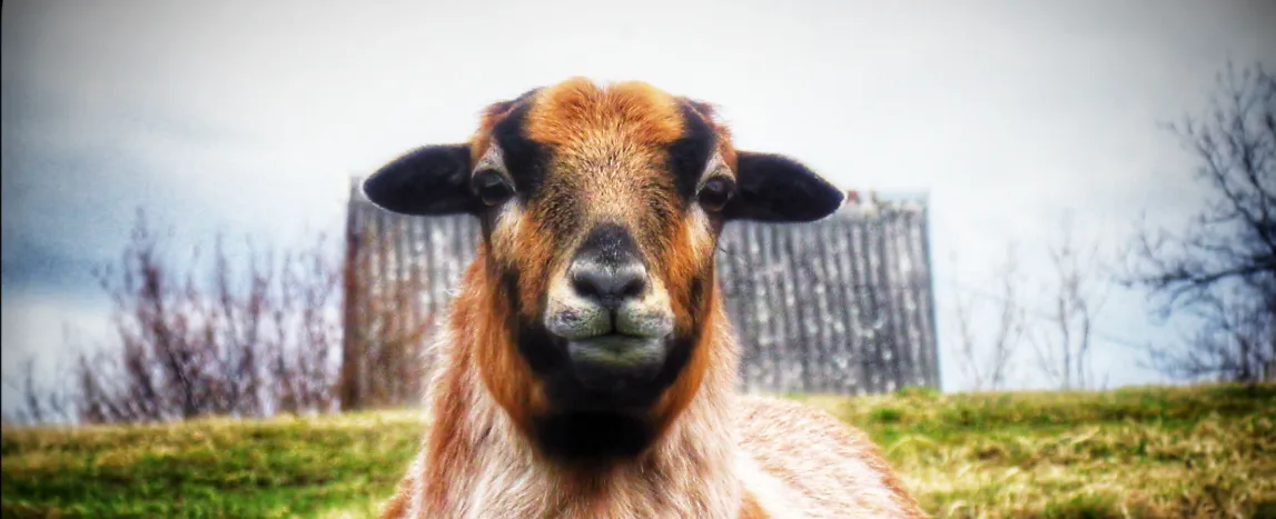 Screenshot 2026-02-16 10