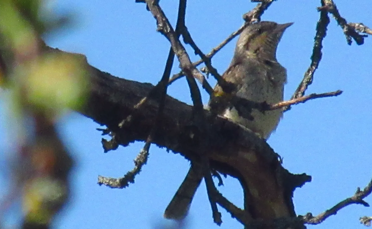 Screenshot 2026-04-08 8