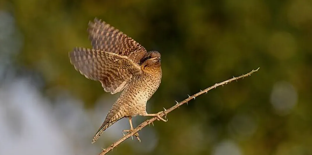 Screenshot 2026-04-09 6