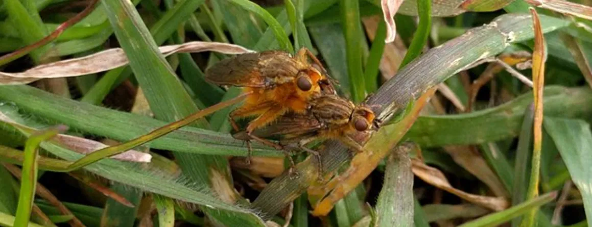 Screenshot 2026-04-10 5