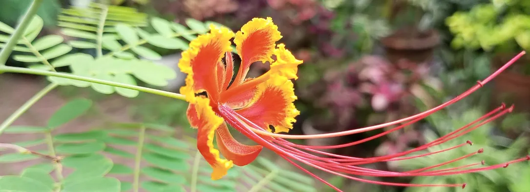 Screenshot 2026-04-11 4