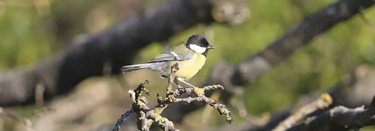 Screenshot 2026-03-07 12