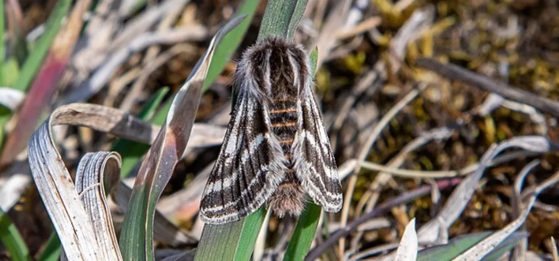 Screenshot 2026-03-05 1