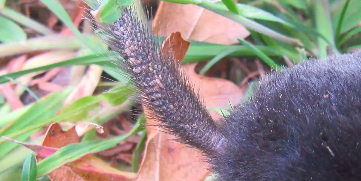 Screenshot 2026-04-19 8