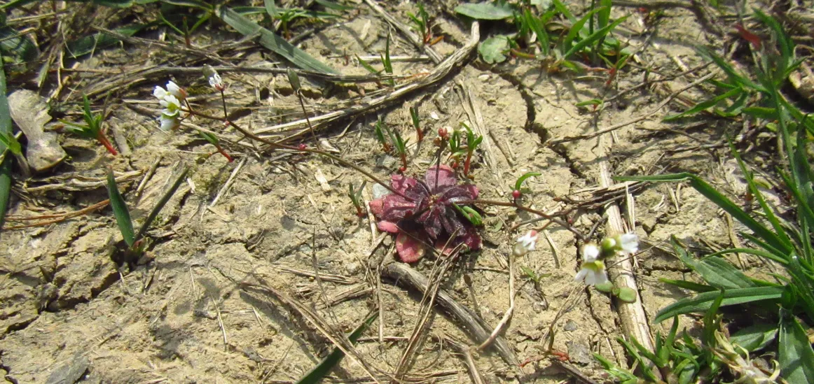 Screenshot 2026-04-04 4