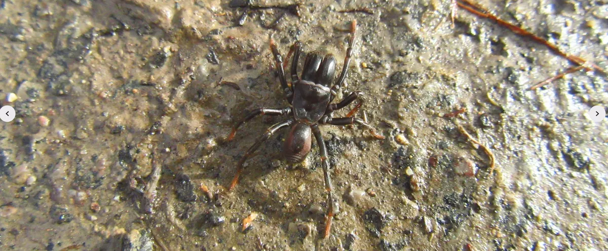 Screenshot 2026-02-12 20