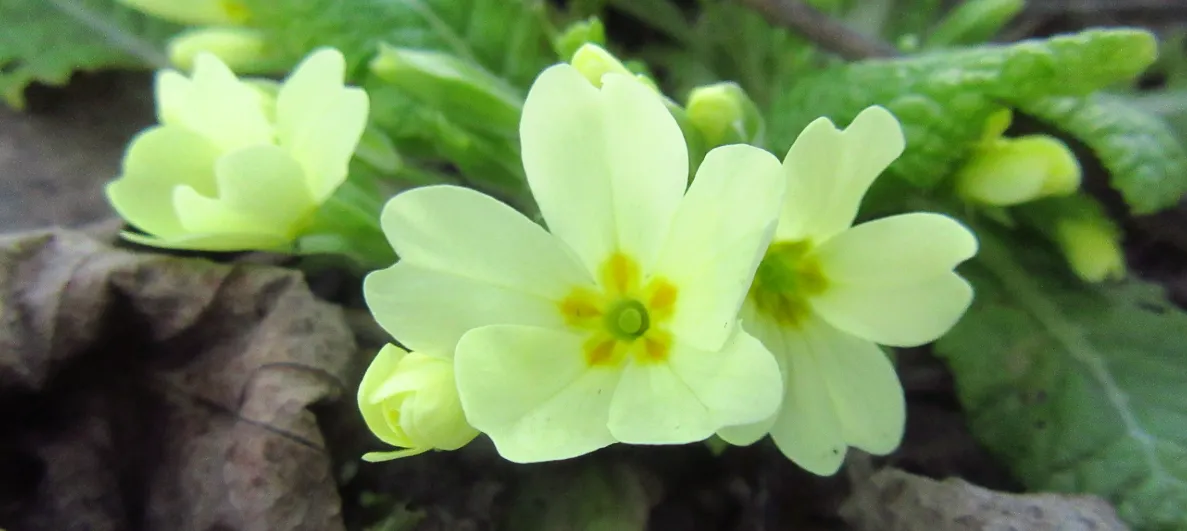 Screenshot 2026-03-01 11