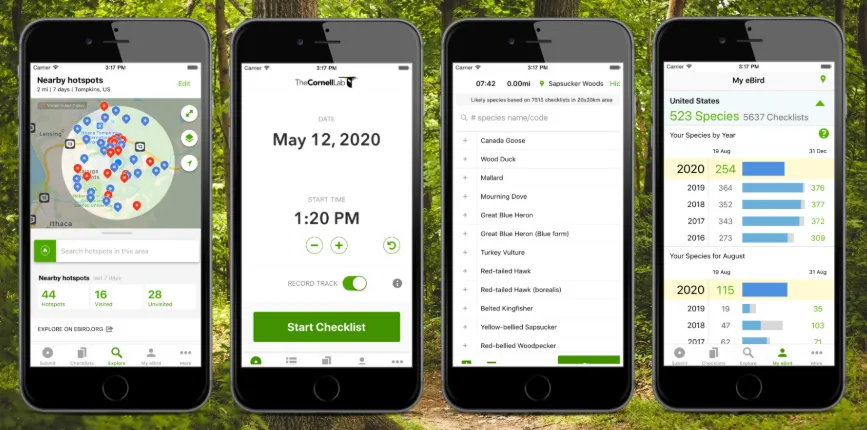 Screenshot 2026-03-05 8