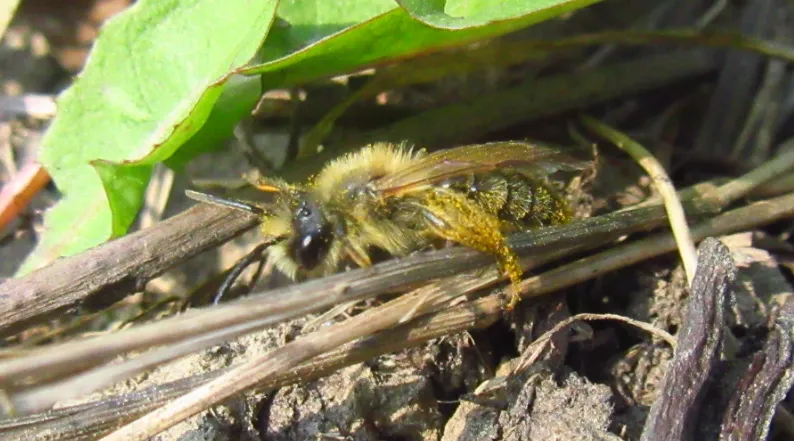 Screenshot 2026-03-22 1