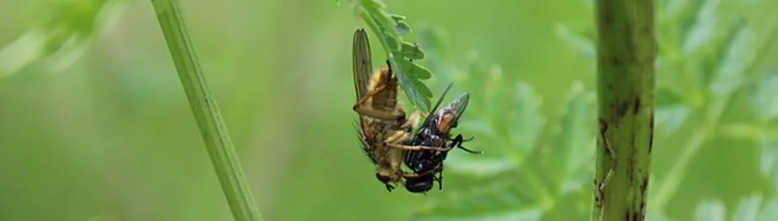 Screenshot 2026-04-10 5