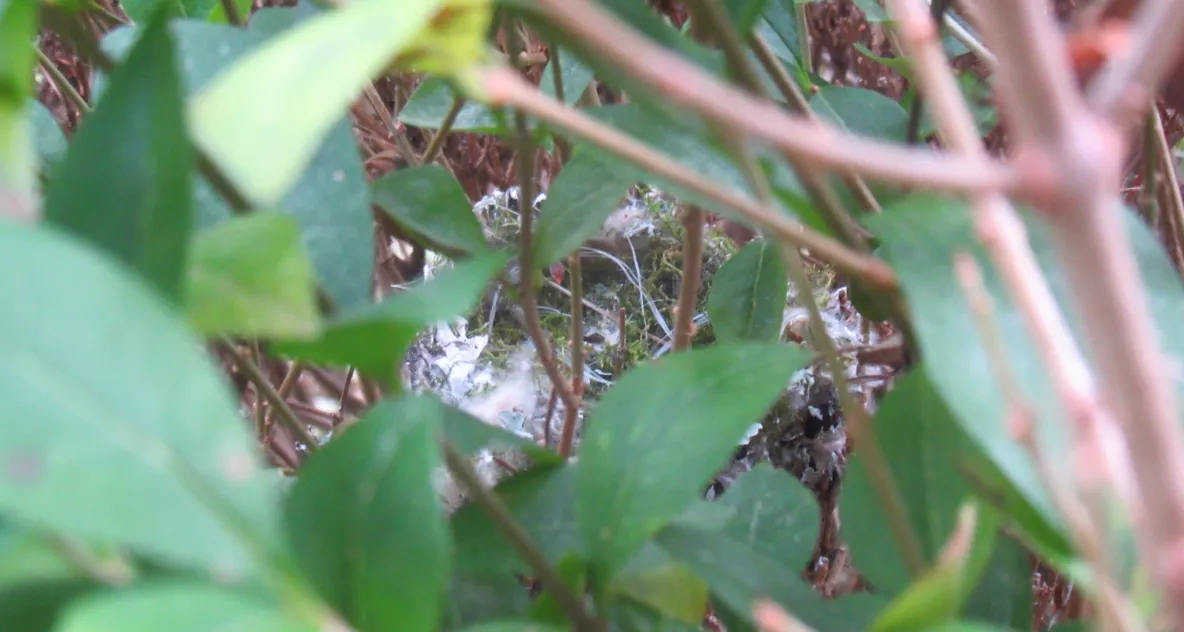 Screenshot 2026-03-02 12