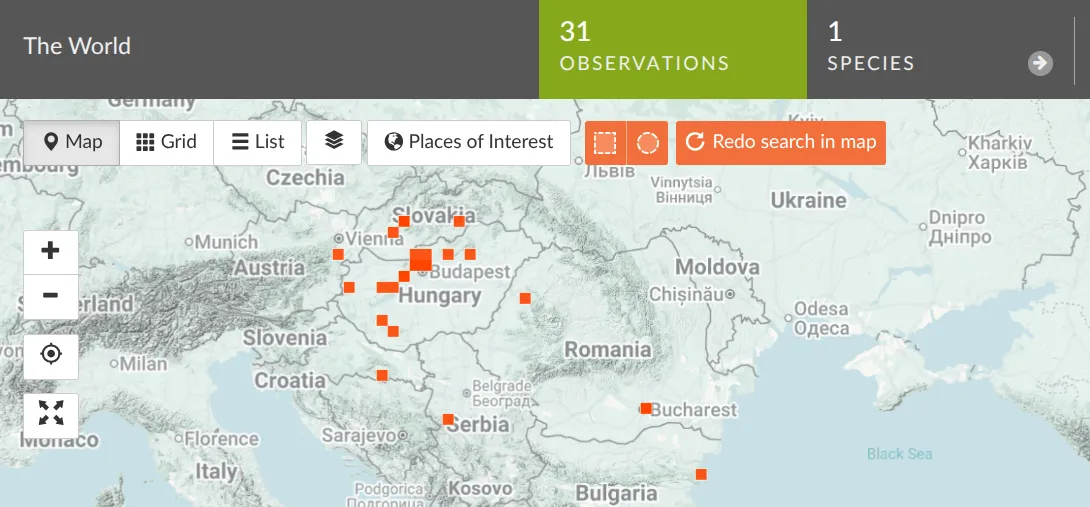 Screenshot 2026-02-07 13