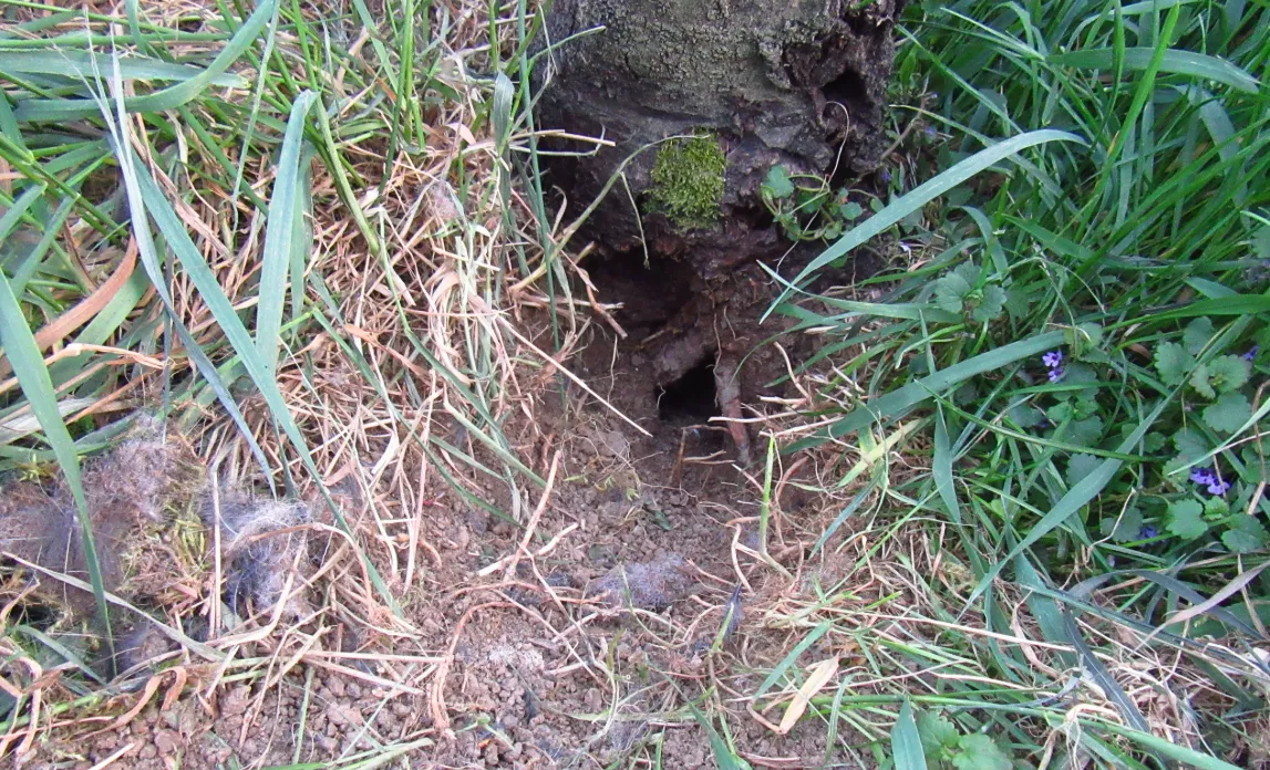 Screenshot 2026-04-19 8