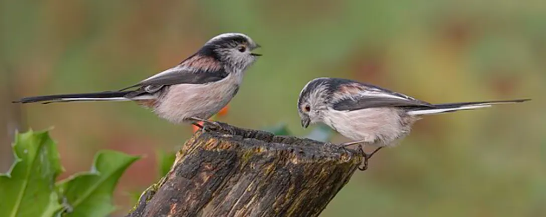 Screenshot 2026-03-07 2