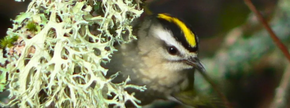 Screenshot 2026-02-05 21