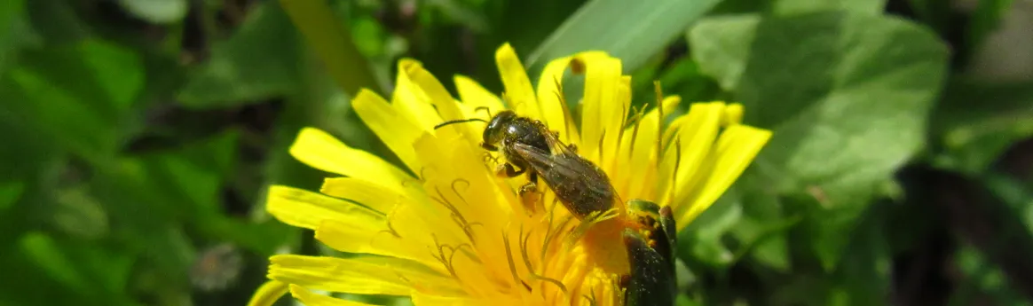 Screenshot 2026-03-22 1