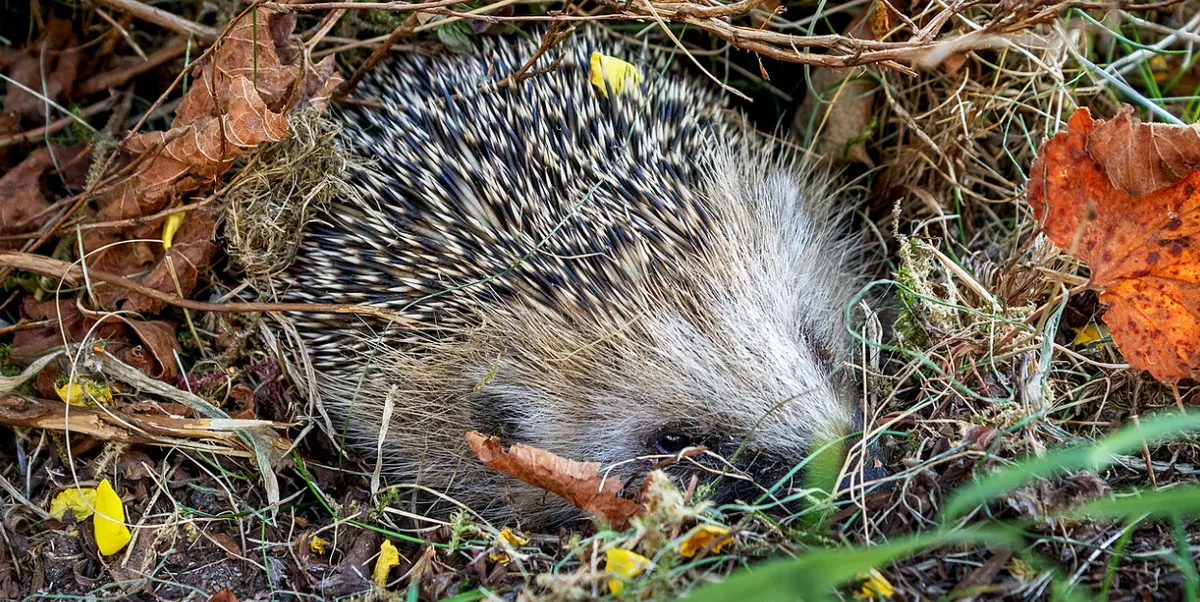 Screenshot 2026-02-06 22