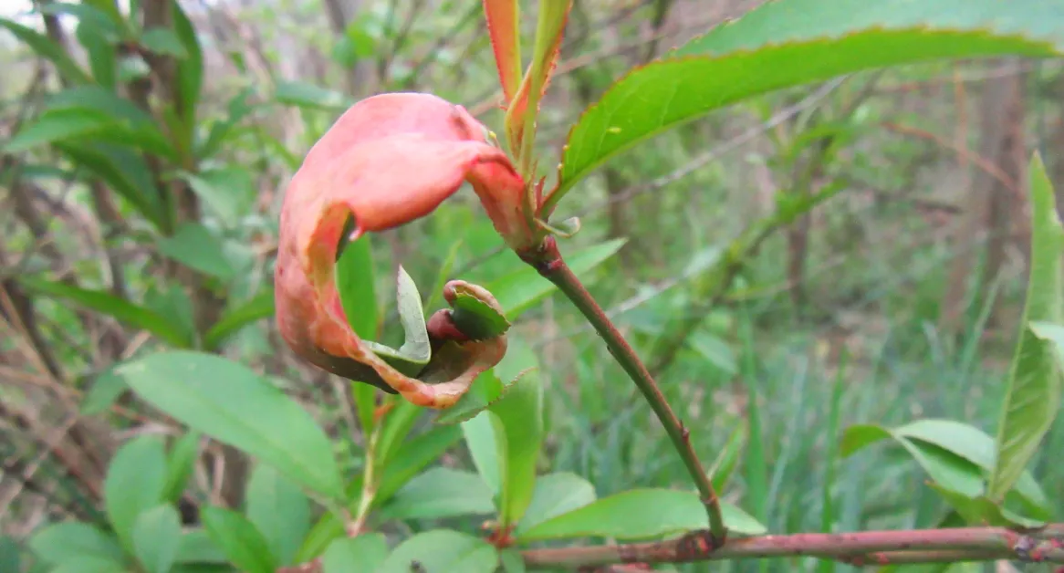 Screenshot 2026-04-13 2