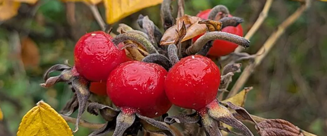 Screenshot 2026-04-07 7