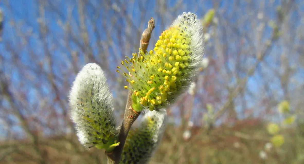 Screenshot 2026-03-08 5